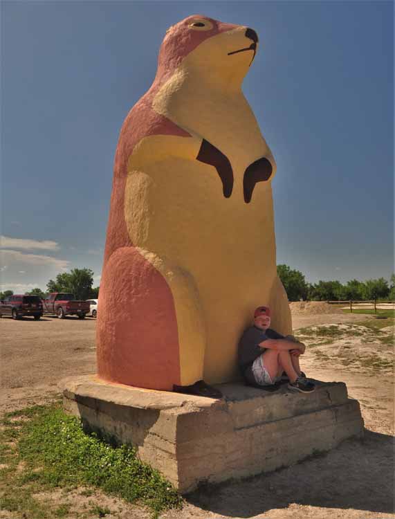 feeding the prairie dogs